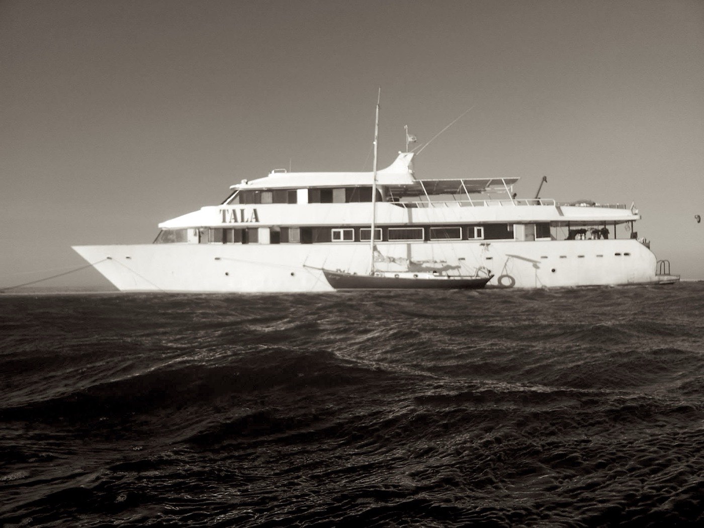 Sea Spray — where it started
